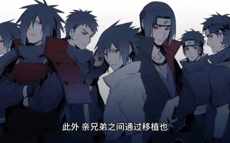 宇智波一族 血轮眼类型