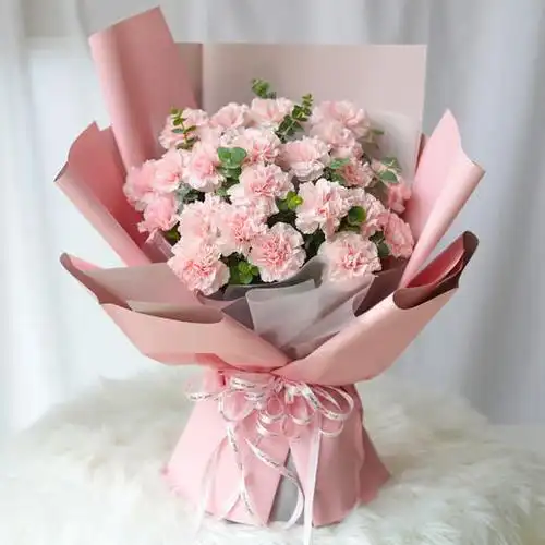 33朵66朵康乃馨花束送妈妈老师长辈领导母亲节教师节生日祝福礼物