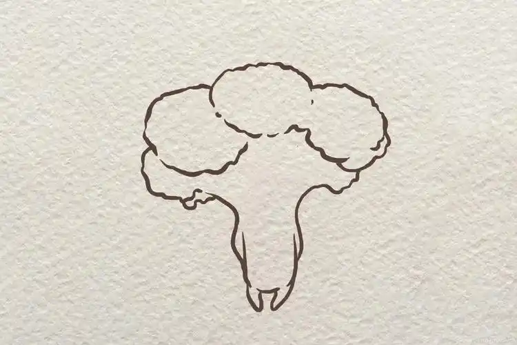 可爱的卡通西兰花简笔画绘画上色教程