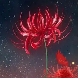 彼岸花绽放头像