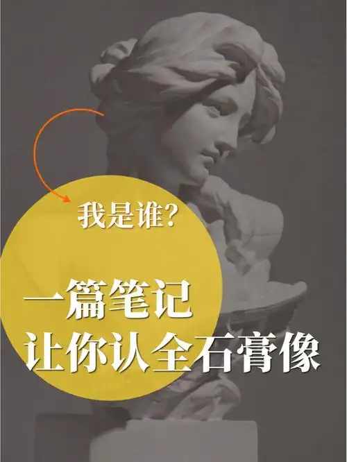 石膏像名称详解素描学习必备专业美术