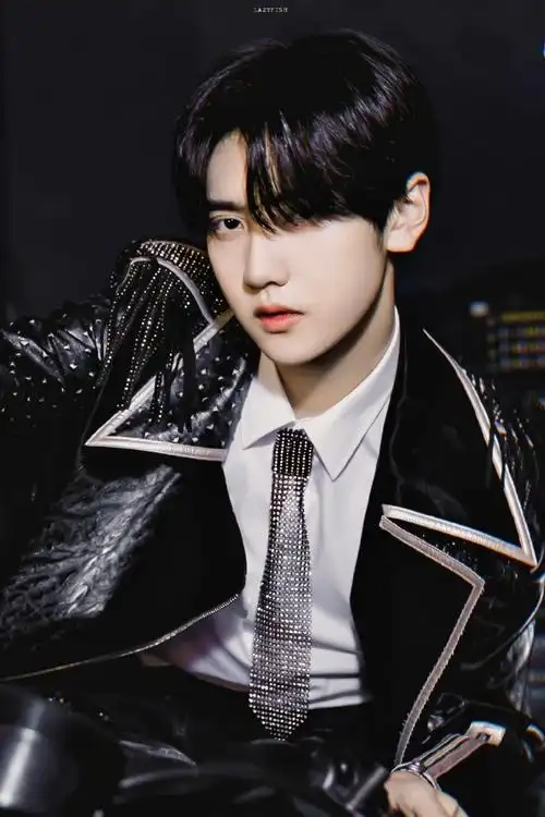 东方卫视春晚公式照存档 @r1se-焉栩嘉 #. 来自散漫懒鱼 - 微博