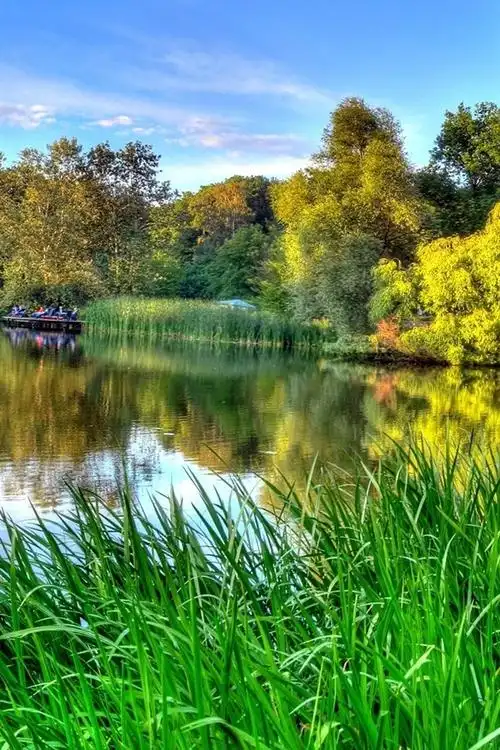 绿色的大自然,春天的河美景