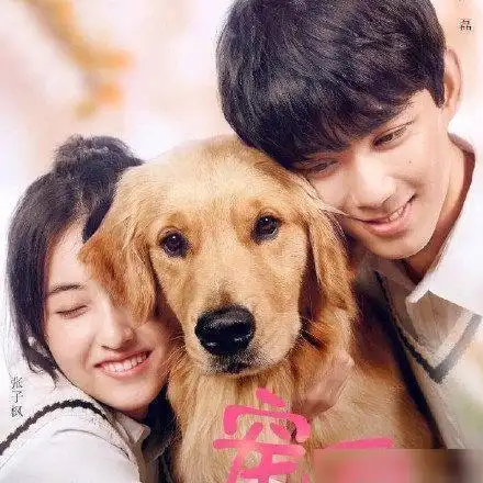 "吴磊张子枫劈叉抱"很温馨?来看看片方是如何炮制的