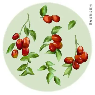 手绘红枣图片
