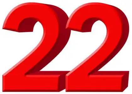 从丁香花, 被隔绝在白色背景上生日蜡烛数字二十二孤立阿拉伯数字 22