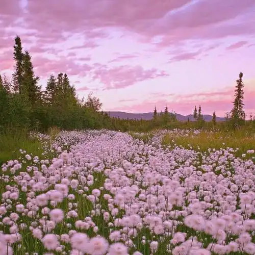 封面图# #背景# #键盘壁纸# #插画# #主页图# #抠图素材# #方块图