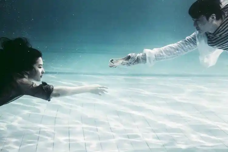 刘亦菲《夜孔雀》