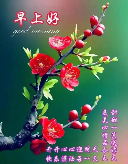 2月26日周一正月十七早安吉祥,清晨最美的早上好祝福送给您|快乐|甜蜜