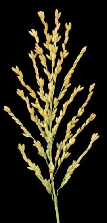 364_755竖版 竖屏