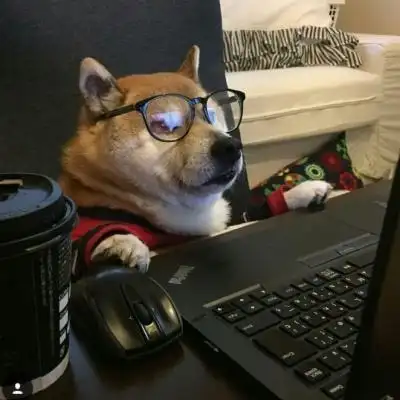 色彩,淡淡的就好,深了会褪色,动物头像图片-回车桌面