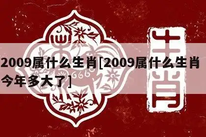 2009年是什么生肖年?