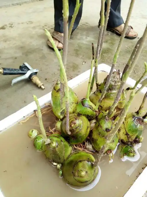  我来答      微信扫一扫 网络繁忙 请稍后重试 新浪微博 qq空间