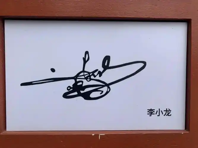 最有特色的应该是周星驰和古天乐的最有范的我觉得很李小龙的