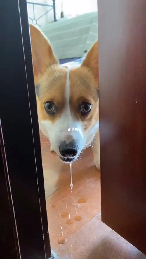 流口水就流口水,为啥还拉丝儿