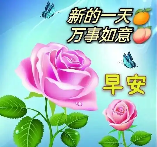 原创8张冬日清晨快乐问好的早上好图片带祝福语微信漂亮早安问候祝福