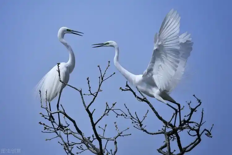 描写母亲母爱的诗(关于母亲的诗有哪些经典)