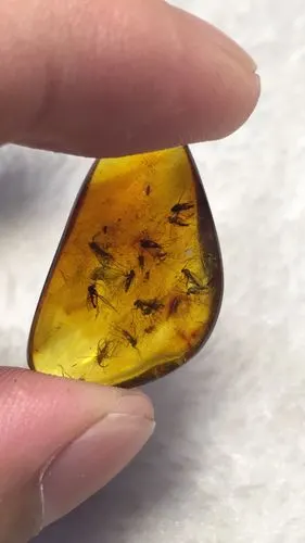 琥珀蜜蜡价格高难道真的是商家炒作吗?