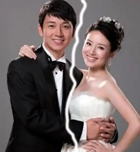 张柏芝谢霆锋董洁潘粤明 明星分手狗血事件/图