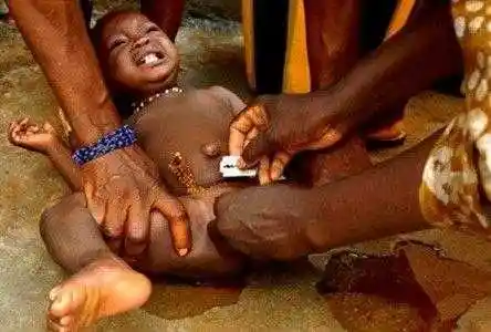 强暴,割礼,逼婚的沙漠之花:对女性不公的"割礼"说"不"