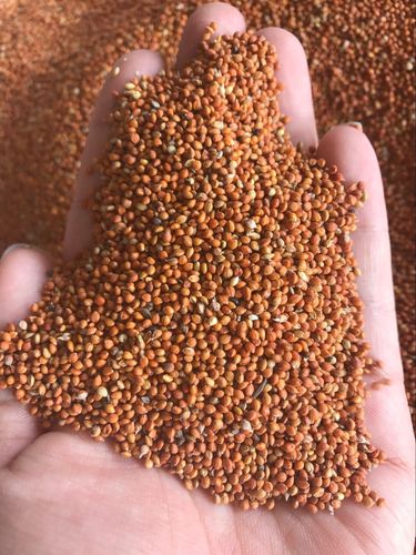 红谷子/带壳红小米/虎皮牡丹玄凤鹦鹉芙蓉 鸟粮鸟食 拍一件=5斤