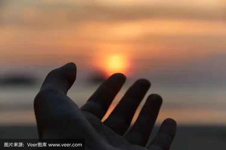 人的手伸向天空