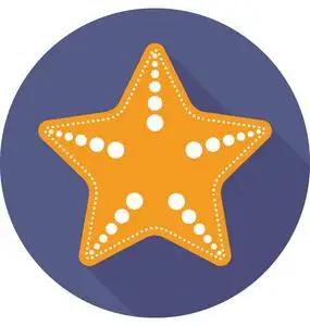 海星矢量图标照片