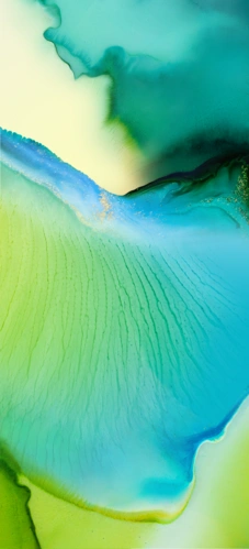 vivo x50内置壁纸,高清图片,手机锁屏桌面-壁纸族