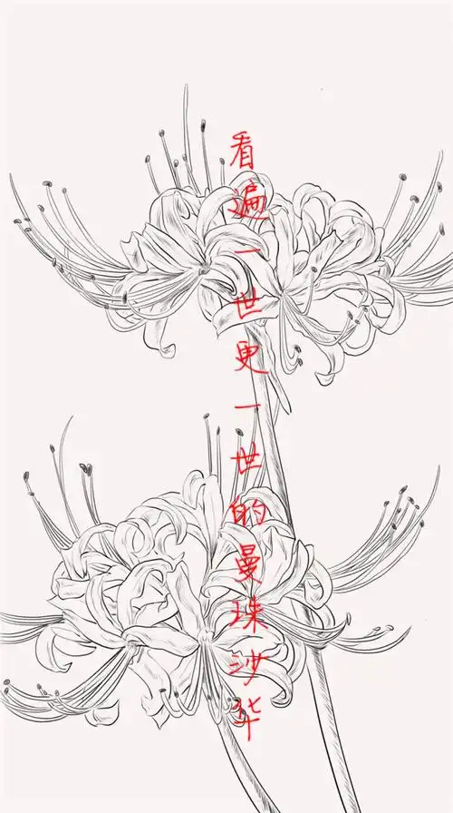 看遍一世更一世的曼珠沙华