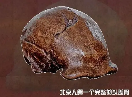 战时日本之恶行让中国失去了多少珍贵文物北京人头盖骨至今下落不明