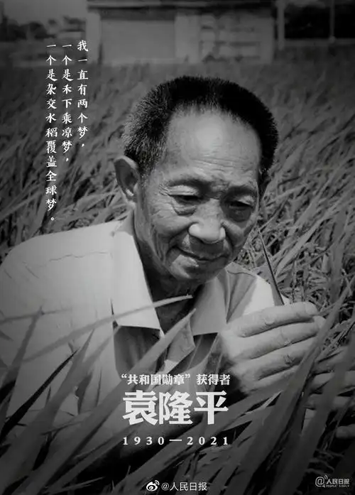 袁隆平""杂交水稻之父我们不会忘记来之不易今天的美好生活只因有