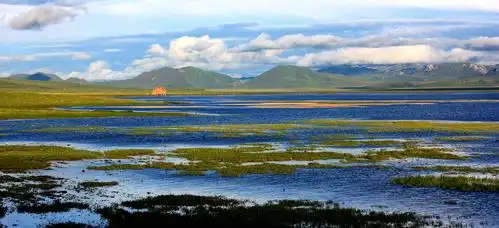 你看青藏高原的眼睛水汪汪