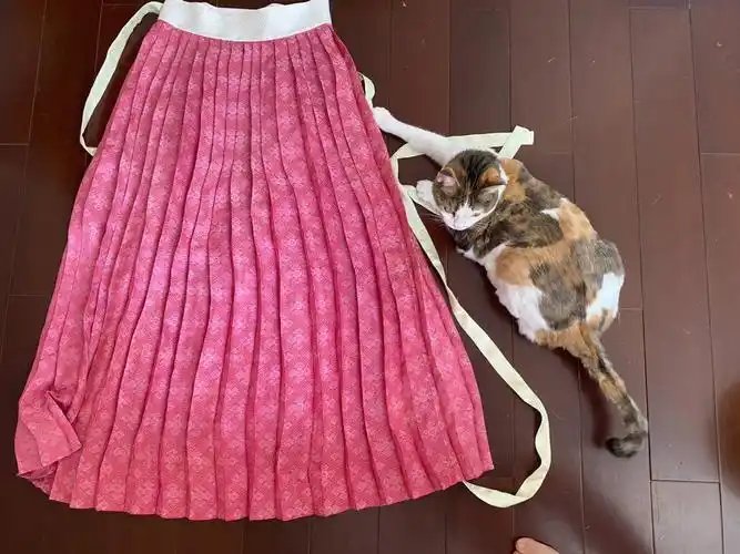 冬菇的新衣服6号一片式褶裙