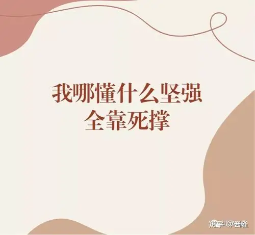 我哪懂什么坚强全靠死撑