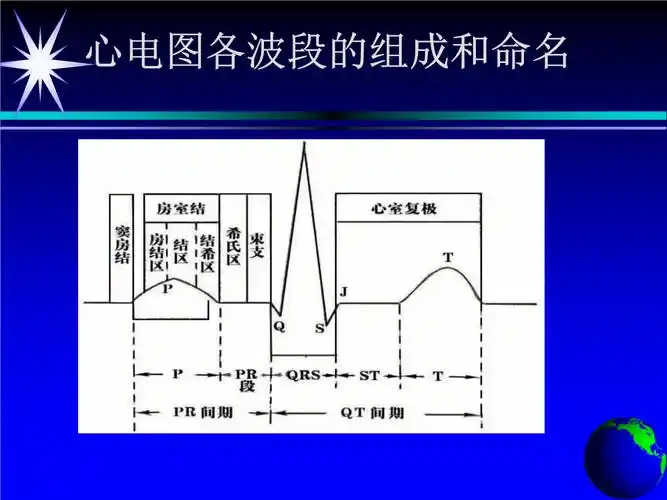 心电图各波段的组成和命名.ppt 21页
