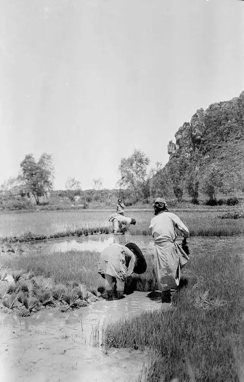 老照片二十年代的中国农村