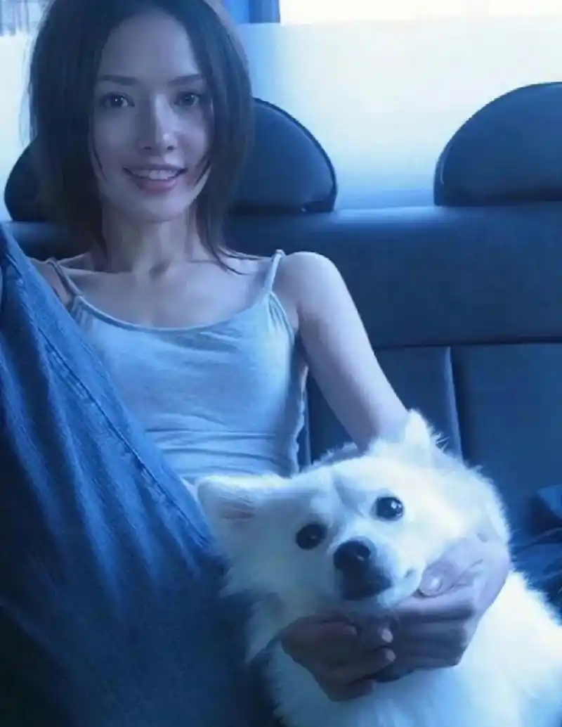 "  在上学时期,郭碧婷就是校花级别,毫无疑问的颜值天花板.