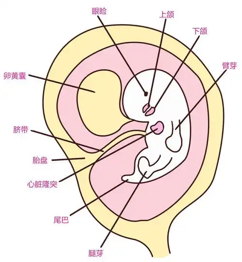 胎教一天一页全文目录_百度阅读