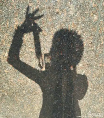 今天的天气格外晴朗,相约去看奇石展览,拍照的时候发现了自己的影子