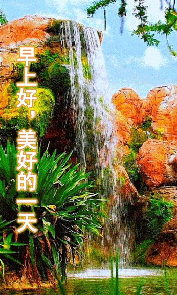 早上好正能量问候语富贵荣华身外物平安健康是根本