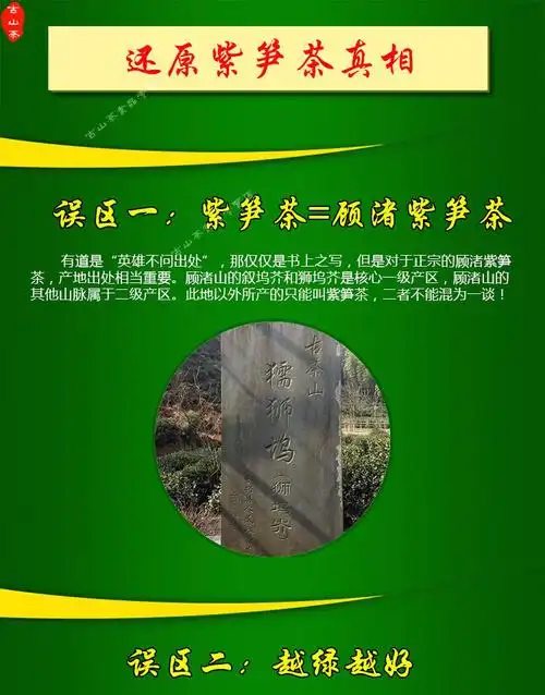 古山茶原产地核心产区顾渚山谷雨茶紫笋茶自己喝实惠野栋100g