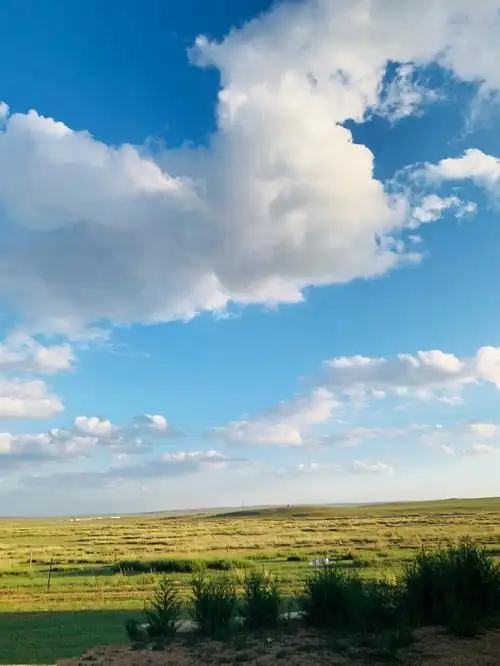 1080_1439竖版 竖屏