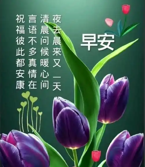 早安图片温馨的早安祝福图片问候祝福语暖心的早上好问候语祝福短句