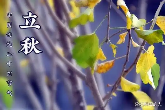 早立秋冷飕飕,晚立秋热死牛,2023年立秋是早是晚?答案已出