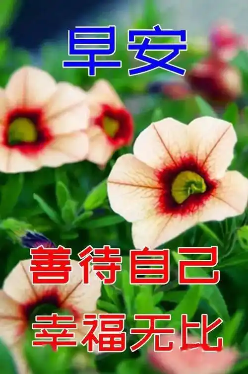 10月6日最漂亮的鲜花早上好动态图片大全美景早上好动态问候语