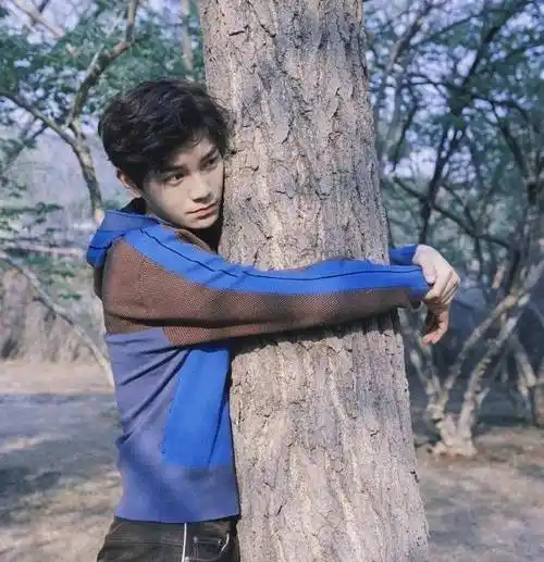 有人古装奇丑,有人被夸"预备顶流"_邢昭林_胡一天_丁禹兮