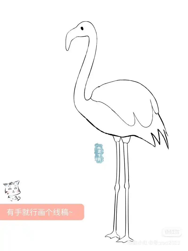 5步画只火烈鸟.这颜色怎么这么好看#画画 #插画 #火烈鸟  - 抖音