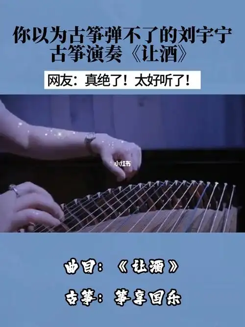 你以为古筝弹不了的刘宇宁古筝演奏让酒