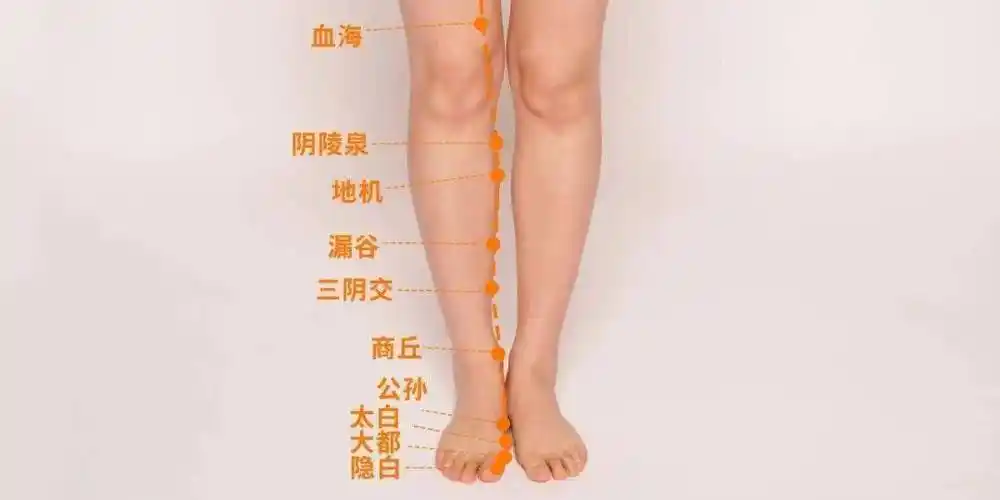 另外,还可以一边做脚趾抓地的运动,一边按揉足太阴脾经和足阳明胃经