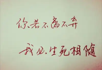 你若不离不弃我必生死相依